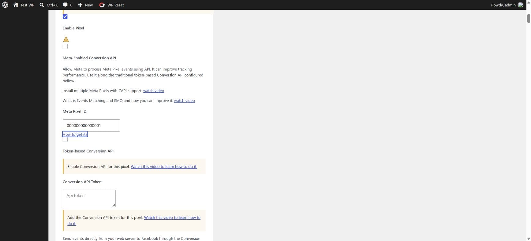 Native Meta settings show the synthetic pixel ID with the token-based Conversions API switch off and no token supplied.